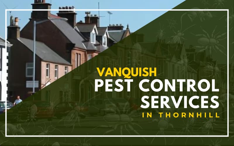Vanquish Pest Control Services in Thornhill