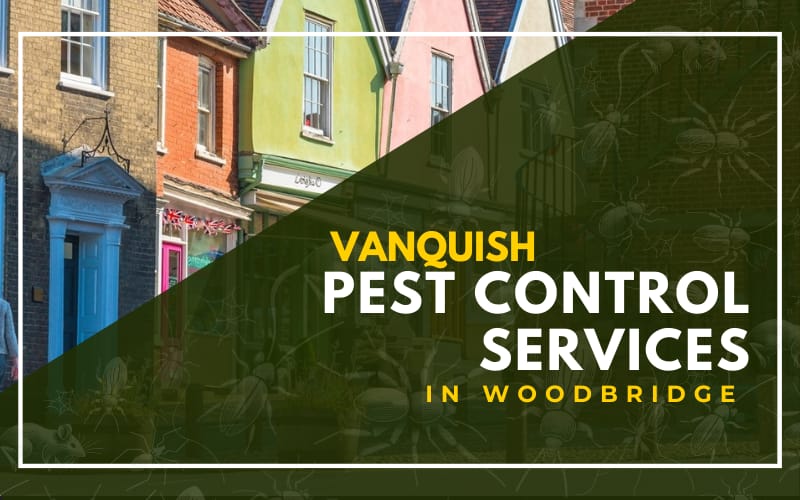 Vanquish Pest Control Services in Woodbridge