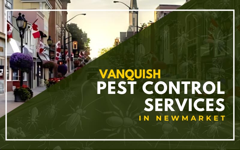 Vanquish Pest Control Services in Newmarket