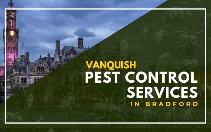 Vanquish Pest Control Services In Bradford