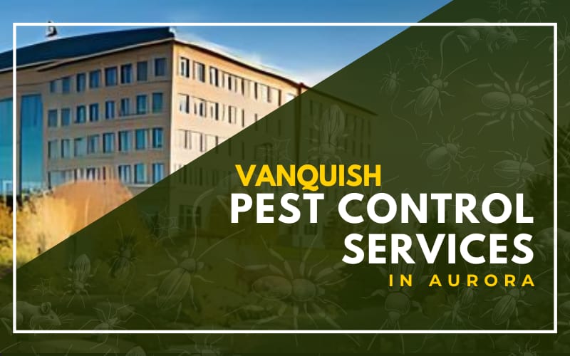 Vanquish Pest Control Services in Aurora