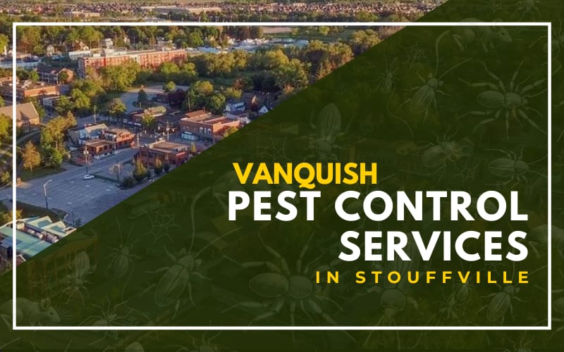Vanquish Pest Control Services in Stouffville