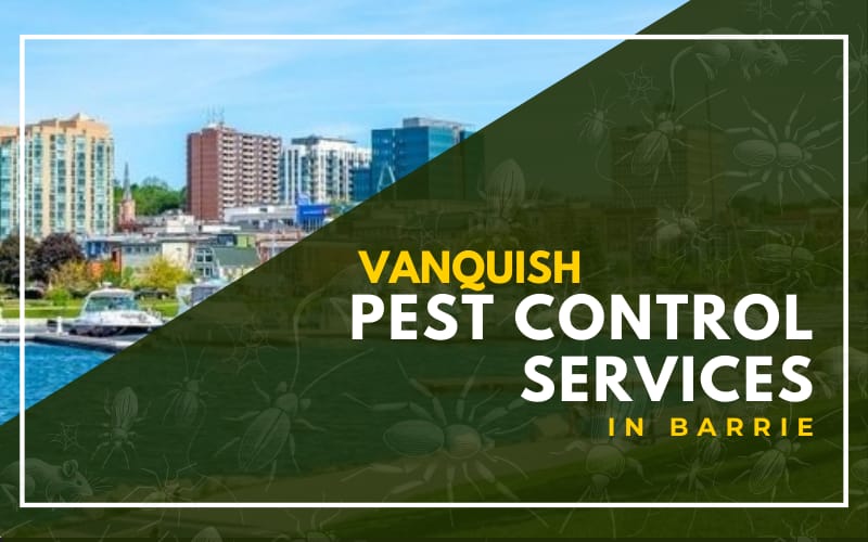 Vanquish Pest Control Services in Barrie