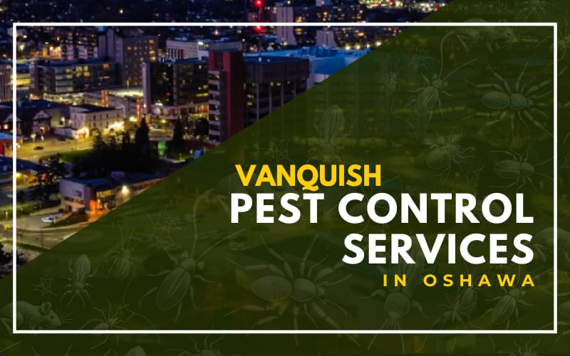 Vanquish Pest Control Services in Oshawa
