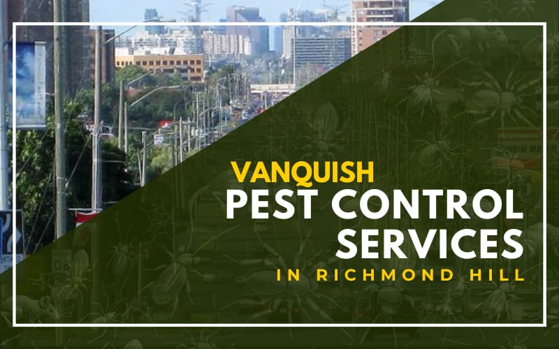 Vanquish Pest Control Services in Richmond Hill