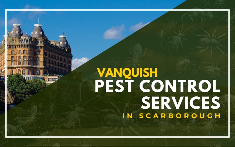 Vanquish Pest Control Services in Scarborough