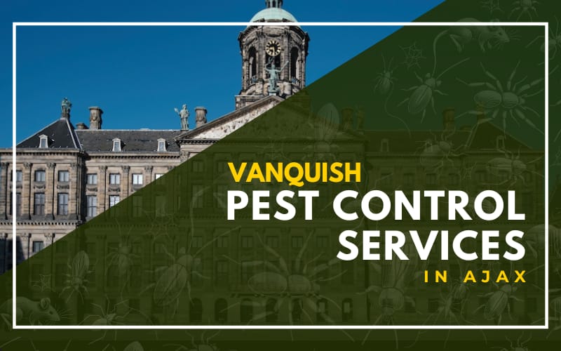 Vanquish Pest Control Services IN Ajax