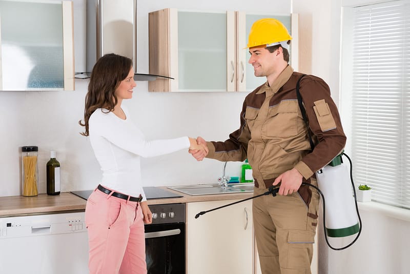 How To Select a Reputable Pest Control Service
